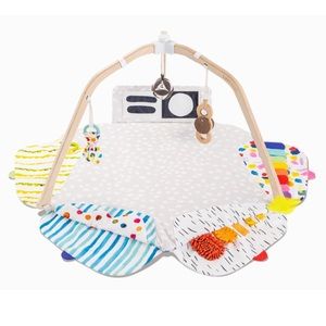 Lovevery Play Gym